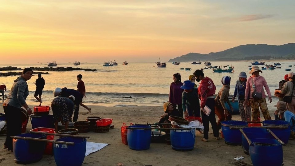 hai san tuoi song tai hoai nhon